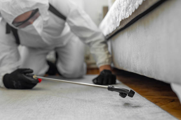 Professional Cockroach Control technician working in Long Grove, IA
