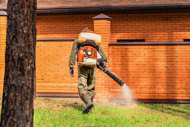 Trusted Mosquito Control service in Long Grove, IA - Nex Pest Control